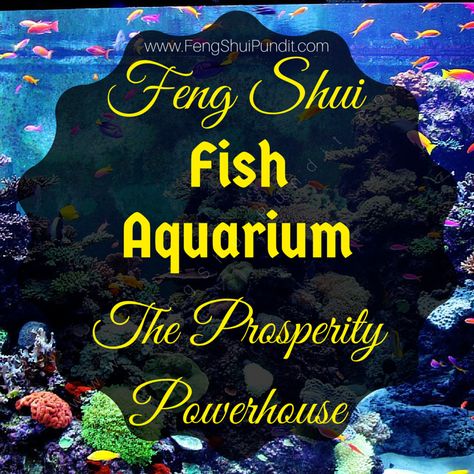 Correctly located & Feng Shui compliant fish aquarium generates lot of positive energy; here're feng shui fish tank benefits, DO's & DON'Ts Feng Shui Fish Tank, Feng Shui Fish, 7 Fishes, How To Feng Shui Your Home, Feng Shui Living Room, Goldfish Art, Feng Shui Art, Sea Aquarium, Fish Tank Terrarium