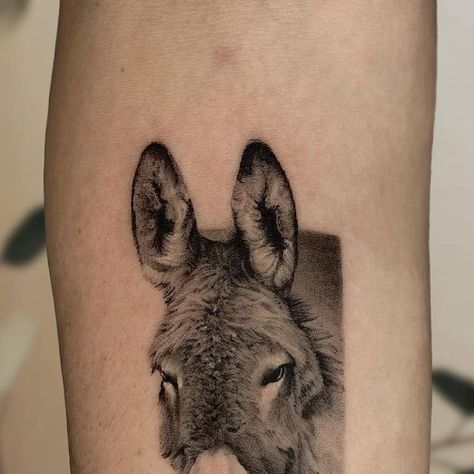 Rose’a’Line Tattoo • WIEN on Instagram: "I loved doing this! From a longer time ago. Which animal would you like to get tattooed? with whom do you have a special connection? • • • #donkey #donkeytattoo #realistictattoo #realisticanimaltattoo #animaltattoo #blackwork #smalltattoo #viennatattoo #viennatattooartist #viennaartist #finelinevienna #wientattoo #inked #realismo #microrealismo" Donkey Tattoo, Line Tattoo, Rose A, Line Tattoos, Long Time Ago, Tattoo On, Blackwork, Small Tattoos, Tattoo Artists