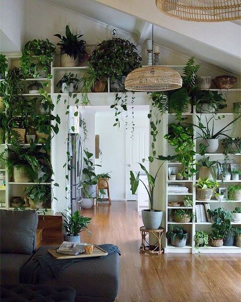 #UOHome Inspo Greenhouse Jungle, Hang Plants, House Plants Decor, Room With Plants, House Plants Indoor, Pretty Plants, Design Case, House Inspiration, Plant Decor