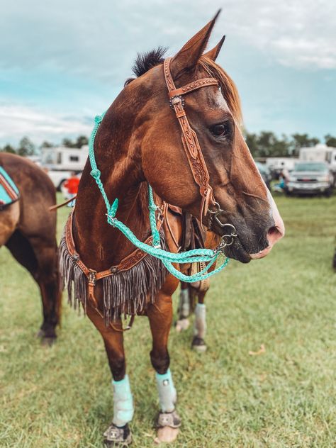 Western Barrel Racing, Horse Tack Ideas, Barrel Horse Tack, Cute Horse Tack, Horse Tack Sets, Tack Sets Western, Horse Tack Western, Sorrel Horse Tack Colors, Barrel Race