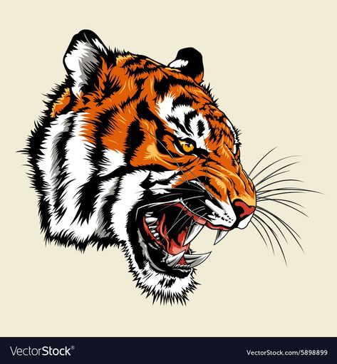 Tiger Head Tattoo, Angry Tiger, Tiger Vector, Colors Illustration, Tiger Drawing, Tiger Wallpaper, Tiger Illustration, Tiger Face, Tiger Design