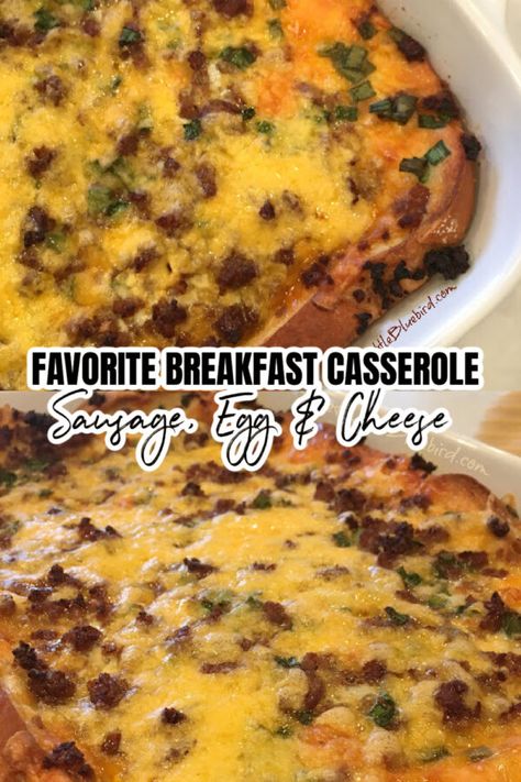 Egg Casserole Recipes Healthy, Sausage Egg Cheese Casserole, Sausage Egg And Cheese Casserole, Company Casserole, Easy Breakfast Casserole Sausage, Sausage Egg Breakfast Casserole, Egg And Cheese Casserole, Baked Breakfast Casserole, Sausage Egg Casserole