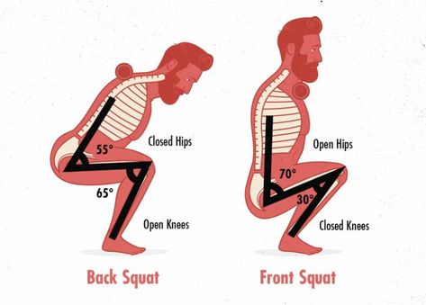 The Front Squat Hypertrophy Guide – Outlift Diddly Squat Farm, Narrow Stance Squat, Squat Muscles Worked, How To Do A Deep Squat, Zercher Squat, Squat Technique, Squat With Bar, Hypertrophy Training, Upper Back Muscles