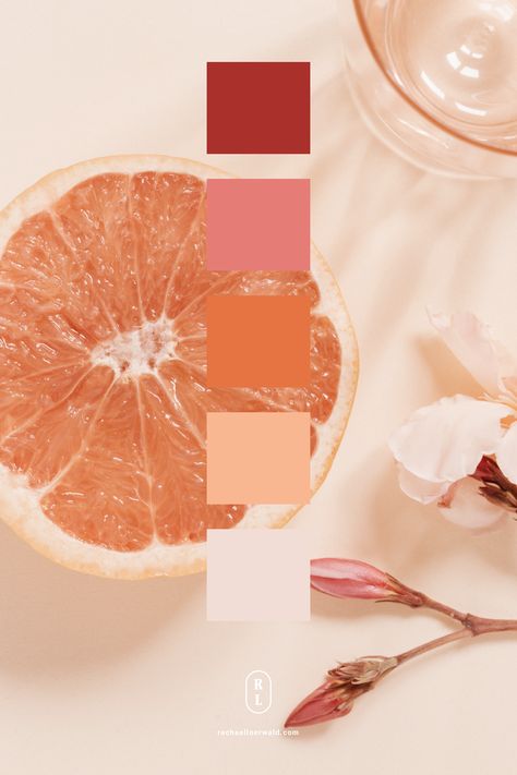 Grapefruit Colour Palette, Summer Party Color Palette, Red Orange Peach Color Palette, Rust Pink Color Palettes, Orange Aesthetic Color Pallete, Pink And Terracotta Color Palette, Feminine Colors Palette, Orange And Pink Color Scheme, Peachy Pink Color Palette