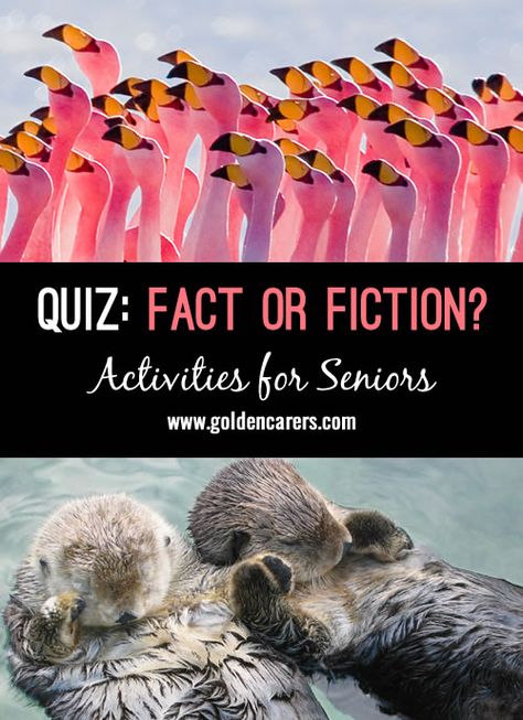 Trivia For Seniors, Assisted Living Activities, Activities For Seniors, Senior Exercises, Nursing Home Activities, Fact Or Fiction, Recreation Therapy, Elderly Activities, Activity Director