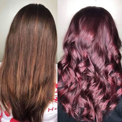 #transformationtuesday by #hairbestie @colorcreationsbynaomi Before and after used @guy_tang #mydentity 6mr+6vol+Olaplex no1 Applied to… Demi Glaze, Guy Tang Mydentity, Midnight Rose, Guy Tang, Transformation Tuesday, Glaze, How To Apply, Long Hair Styles, Hair Styles