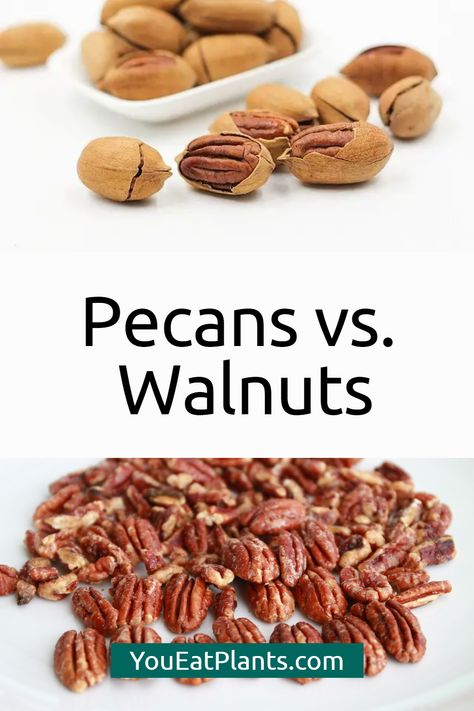 Are you debating between pecans and walnuts for your next snack or baking recipe? Pecans and walnuts have similar nutritional profiles, but have some very different tastes, texture and uses. Let’s take a look at the differences between these two powerhouses of nutrition and flavor. Visit post to learn more about pecans vs walnuts and their amazing benefits! Pecans Benefits Health, Benefits Of Pecans, Pecan Benefits, Pecan Nutrition Facts, Fiber Food Chart, Types Of Nuts To Eat, Health Benefits Of Walnuts, Best Time To Eat, Walnut Butter