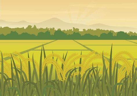 Free Rice Field Illustration Rice Field, Farm Field, Font Illustration, Graphic Design Background Templates, Landscape Illustration, Fade To Black, 그림 그리기, Image Illustration, Prints For Sale