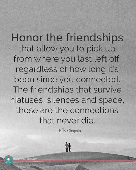 Honor the friendships  that allow you to pick up from where you last left off, regardless of how long it's been since you connected. The friendships that survive hiatuses, silences and space, those are the connections that never die. Second Chance Friendship Quotes, The Power Of Friendship Quotes, Rekindled Friendship Quotes, Rekindling Friendship Quotes, Long Time Friendship Quotes, Taking A Step Back Quotes Friends, Losing Friendship Quotes Life Lessons, Friendship Problems Quotes, One Way Friendship Quotes