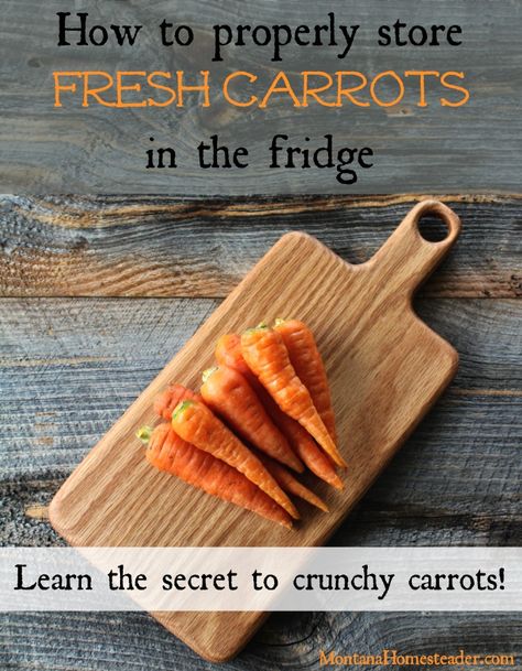 Fresh carrots stored properly in the refrigerator to stay crunchy How To Store Carrots In Refrigerator, Preserving Carrots, Carrot Storage, Dry Goods Storage, Garden Carrots, Veggie Storage, How To Store Carrots, How To Store Tomatoes, Object Detection