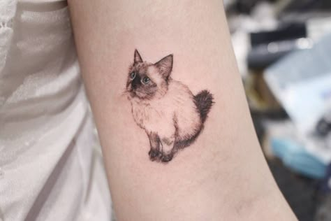 Ragdoll kitten Ragdoll Cat Tattoo, Persian Cat Tattoo, Siamese Cat Tattoos, Energy Tattoo, Kitten Tattoo, Cat Tattoo Simple, Cute Cat Tattoo, Cat Tat, Cat Obsession