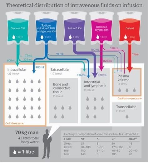 Theoretical distribution of intravenous fluids on infusion. Graphic for Nursing Students. Nursing Cheat, Nursing Information, Nursing Mnemonics, Iv Fluids, Pharmacology Nursing, Nursing School Survival, Critical Care Nursing, Nursing School Studying, Nursing School Tips