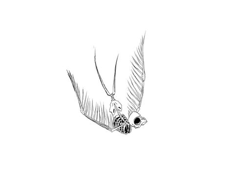 Sparrow Skeleton, Swallow Wallpaper, Swallow Tattoo Design, Swallow Tattoo, Skeleton Tattoos, Tattoo Design Drawings, Design Drawings, Falling Down, Tattoo Drawings