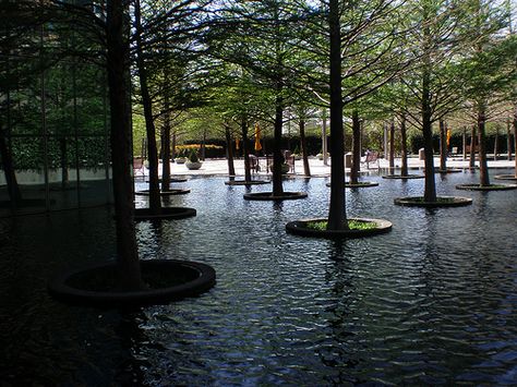 Fountain Place Dallas Bald Cypress Tree, Proposal Spots, Texas Trip, I M Pei, Street Architecture, Dallas Engagement, Bald Cypress, Photoshoot Locations, Outdoor Designs