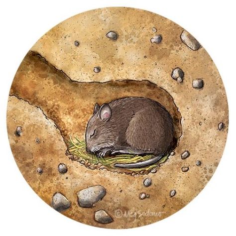 burrow Burrow Illustration, Science Portfolio, Children's Book Illustrations, Animal Worksheets, Natural Science, Nature Kids, Book Illustrations, Reptiles And Amphibians, Cozy Place