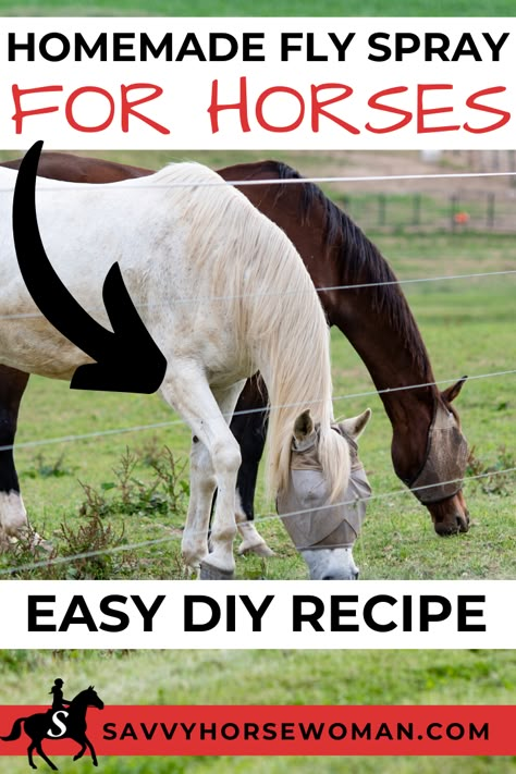 Diy Fly Spray For Livestock, Horse Fly Spray Recipe Homemade, Fly Spray For Cattle, Natural Fly Spray For Horses, Homemade Fly Spray For Horses, Horse Fly Spray Recipe, Horse Brands Ideas, Diy Horse Fly Spray, Diy Fly Spray