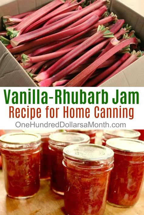 Vanilla-Rhubarb Jam - One Hundred Dollars a Month Rhubarb Jam Recipes, Jam Recipes Homemade, Canning Jam, Rhubarb Jam, Vanilla Recipes, Jam And Jelly, Rhubarb Recipes, Jam Recipe, Jelly Recipes