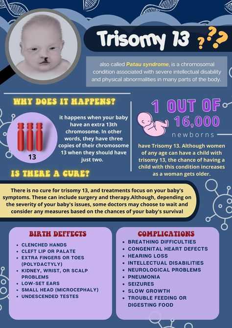 Patau Syndrome, What Is Intelligence, Medical School Essentials, Medical Anatomy, School Essentials, Medical School, Pediatrics, Anatomy, Nursing