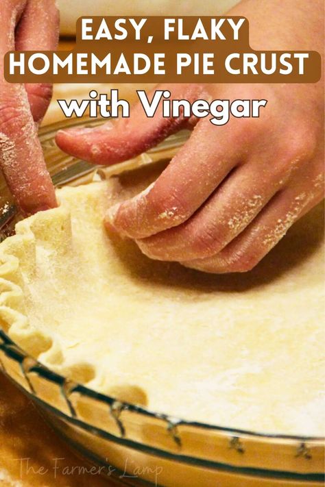 Easy, Flaky Homemade Pie Crust With Vinegar • The Farmer's Lamp Pie Crust With Vinegar, Pie Crust Recipe With Vinegar, Easy Homemade Pie Crust, Easy Flaky Pie Crust, Easy Homemade Pie, Perfect Flaky Pie Crust, Pie Crust Uses, Flaky Pie Crust Recipe, Pie Crust Recipe Easy