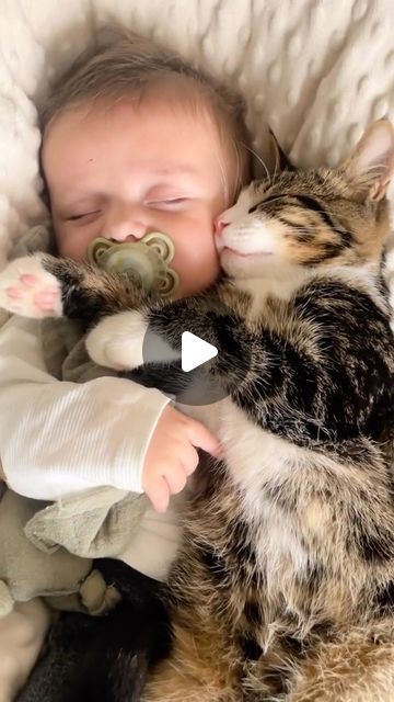 Meowing Cats 🐈 on Instagram: "Best friend 😻🐾 • To : [ 👉🏻 @miyavlikedicikler ] Via : [ 📹 justinedcss - TikTok ] • 🛒 MIYAVEE PET SHOP ~ link in bio • • ~Contact for advertisement ~" Kitten And Cat, Kittens Cutest Fluffy, Cute Cats And Kittens Pictures, Cat Cuddles Human, Cats And Kittens Videos, Cute Kitten Videos, Cats And Babies, Deer Bones, Cute Cat Video