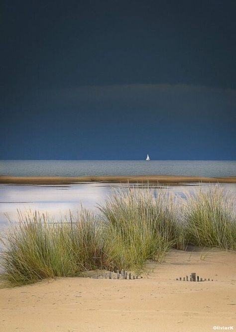 I Love The Beach, 수채화 그림, Beach Scenes, Ocean Beach, The Sand, Beach Life, Beautiful Beaches, Beautiful World, Beautiful Landscapes