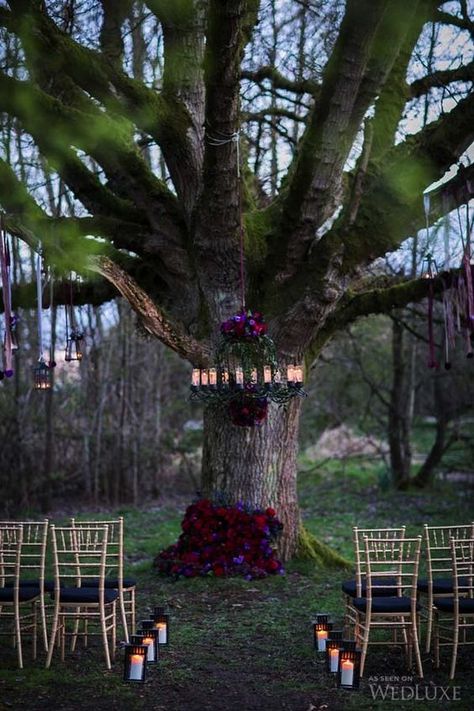 red purple and black halloween wedding ceremony decor / http://www.himisspuff.com/halloween-wedding-ideas/2/ Gothic Wedding Theme, Witch Wedding, Pagan Wedding, Wedding Ceremony Ideas, Halloween Themed Wedding, Viking Wedding, Lighting Plan, Goth Wedding, Dark Wedding