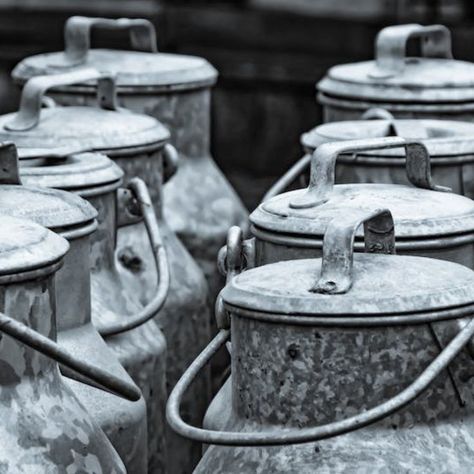 Milk pail Milk Pail, A Series Of Unfortunate Events, Dairy Farms, Old Farm, Farm Life, Milk