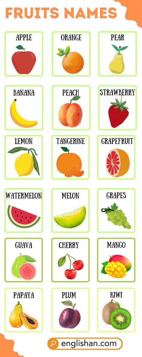 Fruit Names in English Fruits Vocabulary English, Fruit In English, Fruits Pictures For Kids, Fruits Name List, Vegetables Names With Pictures, Fruits Name With Picture, English Kindergarten, Fruits Name, English 101