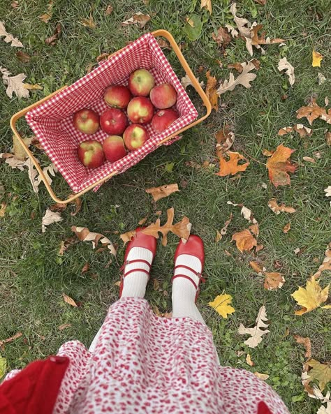 Fall Photo Wall, Fall Aesthetic Pink, Soft Fall Aesthetic, Cottagecore Aesthetic Pink, Pink Autumn Aesthetic, Romanticize Autumn, Coquette Fall Aesthetic, Fall Girl Aesthetic, Pink Fall Aesthetic