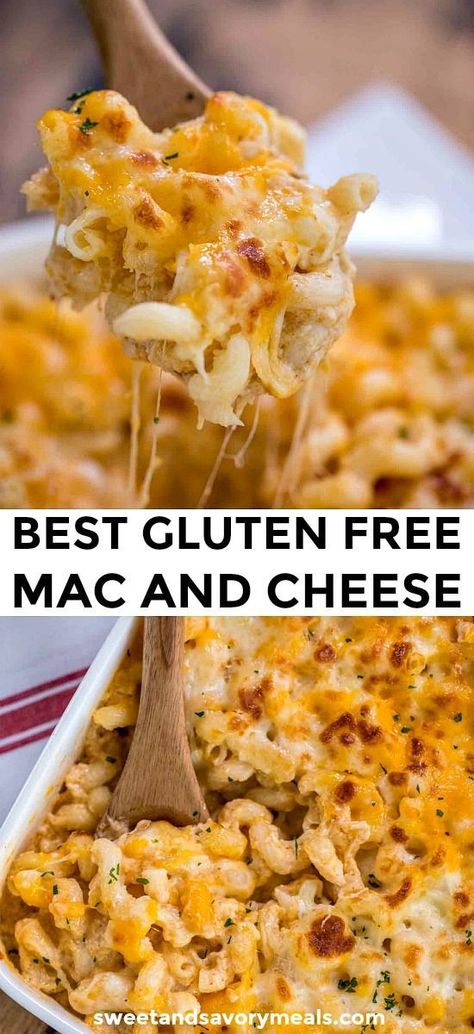 Gluten Free Mac And Cheese, Gluten Free Thanksgiving Recipes, Gluten Free Thanksgiving, Best Gluten Free, Gluten Free Recipes For Dinner, Gluten Free Eating, Gluten Free Cheese, Gluten Free Recipes Easy, Gluten Free Dinner