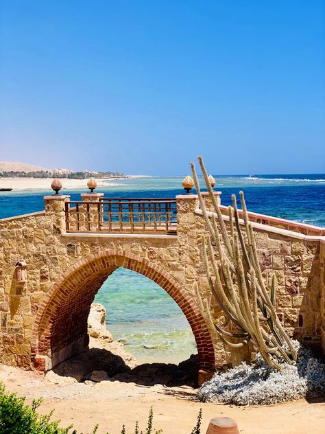 Red Sea Egypt, Sea Aquarium, Hurghada Egypt, Egypt Cairo, Seaside Towns, Red Sea, Photographer Photography, Luxor, Summer Travel