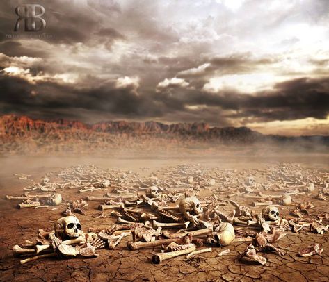 Ezekiel Dry Bones, Dry Bones Come Alive, Valley Of Dry Bones, To The Bone Movie, Church Backgrounds, Dry Bones, Heaven Art, First Youtube Video Ideas, Bible Illustrations