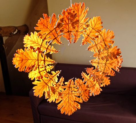 Gorgeous Leaf Crafts for Autumn and Thanksgiving. Check out these 20+ stunning leaf crafts and incorporate them in your Thanksgiving and Fall activities! Homemade Christmas Wreaths, Autumn Leaves Craft, Frog Crafts, Deco Nature, Simple Leaf, Leaf Crafts, Autumn Crafts, Fall Leaf, Autumn Leaf