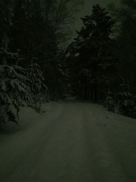 Dark Snowy Forest, Forest Moodboard, Dark Forest Aesthetic, Forest Aesthetic, Snow Forest, Snowy Forest, Winter Nature, Snowy Day, Dark Forest