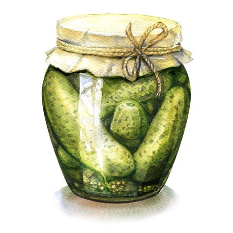 Homemade Pickled, Canned Cucumbers In Glass Jar Isolated, Watercolor Illustration Stock Illustration - Illustration of aquarelle, marinated: 79879365 Canned Cucumbers, Watercolor Monogram, Food Sketch, Food Illustration Art, Watercolor Food, Beautiful Bugs, 수채화 그림, China Art, Watercolor Wall Art