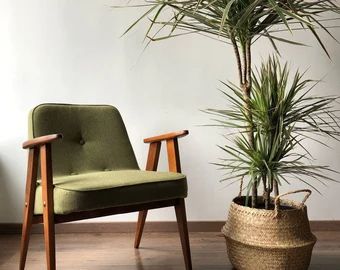 Green Velvet Armchair, Sofa Santai, Modern Accent Chairs, Mid Century Modern Accent Chairs, Mid Century Modern Armchair, Green Armchair, Mid Century Modern Living, Mid Century Modern Living Room, Mid Century Armchair