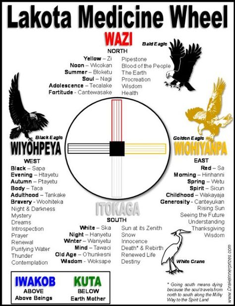 Lakota Four Directions (Medicine Wheel)    Wazi - North  Wiyohpeya - West  Wiohiyanpa - East   Itokaga - South Native Wisdom, Lakota Indians, Native American Medicine Wheel, Native American Spirituality, Lakota Sioux, Native American Wisdom, Shamanic Journey, Native American Symbols, Native American Quotes