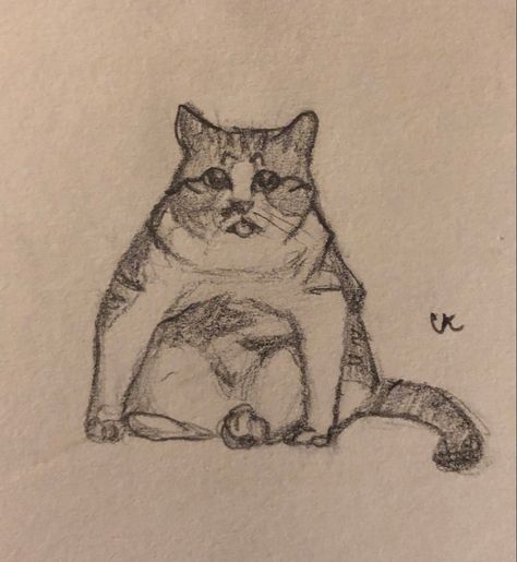 A quick sketch of a chunky boy in a silly position (Jebi) Chunky Animals Drawing, Chunky Cat Drawing, Chunky Drawing, Fluffy Cat Drawing, Chunky Cat, Boy Sketch, Cats Art Drawing, Animal Drawing, Cat Pose