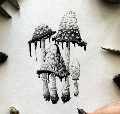 Amanita Mushroom Drawing, Shaggy Mane Mushroom Drawing, Drippy Mushroom Tattoo, Inkcap Mushroom Drawing, Mushroom Gills Drawing, Poison Mushroom Drawing, Shaggy Ink Cap Mushroom Drawing, Enoki Mushroom Tattoo, Reishi Tattoo