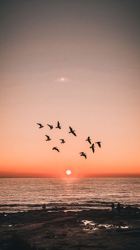 Birds Asthetic Pics, Aesthetic Birds Flying, Birds Aesthetic, Bird Sunset, Beauty Iphone Wallpaper, Wall Street Art, Green Screen Background Images, Birds In The Sky, Easy Love Drawings