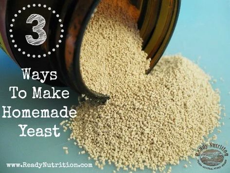 Without yeast, our lives would be void of many of our day-to-day products. Getting back to the basics and learning how to make yeast yourself will give you an invaluable skill to hold onto and share with others. Using different produce such as oranges, potatoes, herbs and grains is not only a great science experiment, but a way for you to play around with the flavors of your favorite bread recipes. Dried Raisins, Homemade Yeast, Yeast Starter, No Yeast Bread, Bread Starter, Wild Yeast, Glass Jars With Lids, Survival Food, Food Supply