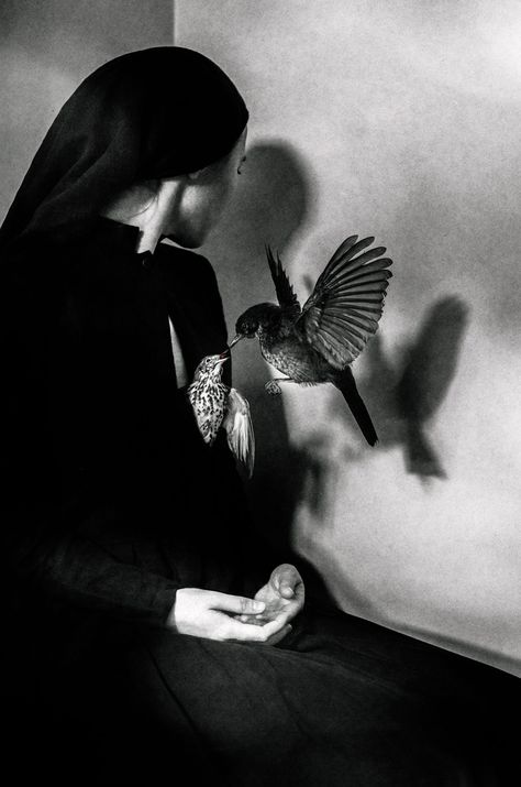 Laura Makabresku, Bird People, Bird Pictures, White Photo, Black Bird, Aesthetic Photo, Bird Art, White Photography, Visual Artist