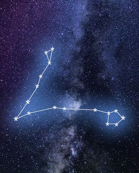 Pisces Star Constellation, Tattoo Zodiac, Pisces Constellation Tattoo, Zodiac Aesthetic, Aesthetic Stars, Pisces Constellation, Constellation Tattoo, Pisces Tattoos, Nasa Space