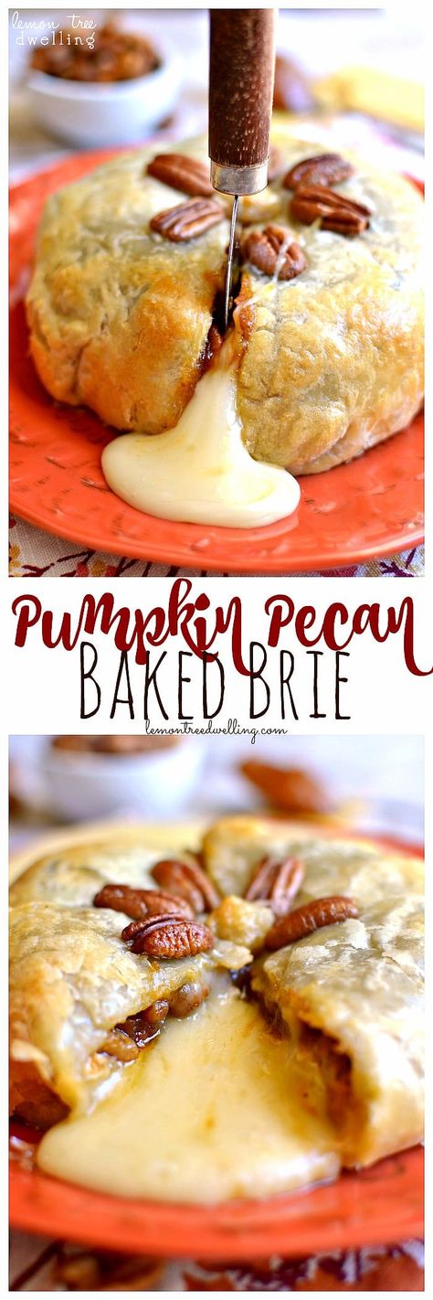 Pumpkin Pecan Baked Brie Hawaiian Thanksgiving, Appetizers Fancy, Pecan Baked Brie, Weight Watcher Desserts, Awesome Appetizers, Brie Recipes, Foodie Crush, Low Carb Dessert, Pumpkin Butter