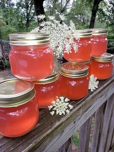 Queen Anne's Lace Jelly! @Laurie Brakemeyer @Bethany Gretzschel @Darcy Cheshier @Tori Wehrly @Lorna Adams @Lorna Strudell Jam Recipes Homemade, Canning Jam, Dandelion Jelly, Homemade Jelly, Homemade Food Gifts, Jam And Jelly, Queen Anne's Lace, Jelly Recipes, Home Canning