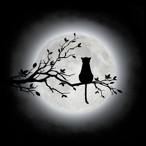 Witch And Cat Wallpaper, Cat And Moon Drawing, Stencil Animals, Moon Tattoos, Moon Graphic Tee, Moon Silhouette, Moon Graphic, Witchy Wallpaper, Image Chat