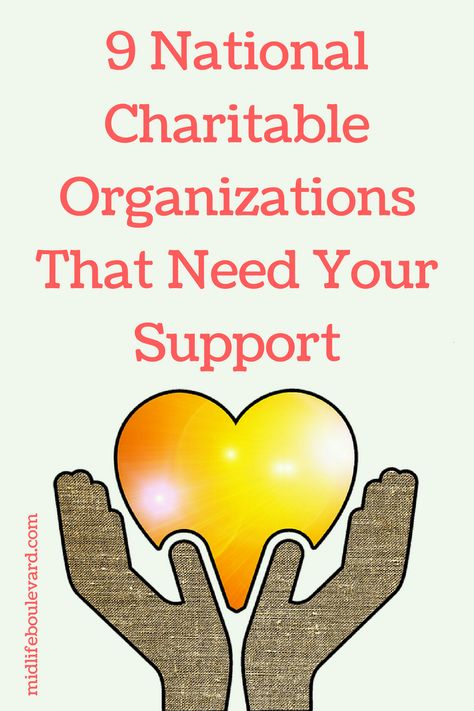 9-national-charitable-organizations-that-need-your-support Finance Literacy, Charity Water, Childrens Sermons, Grant Writing, World Vision, Charitable Organizations, America Today, Nonprofit Organization, Close To My Heart