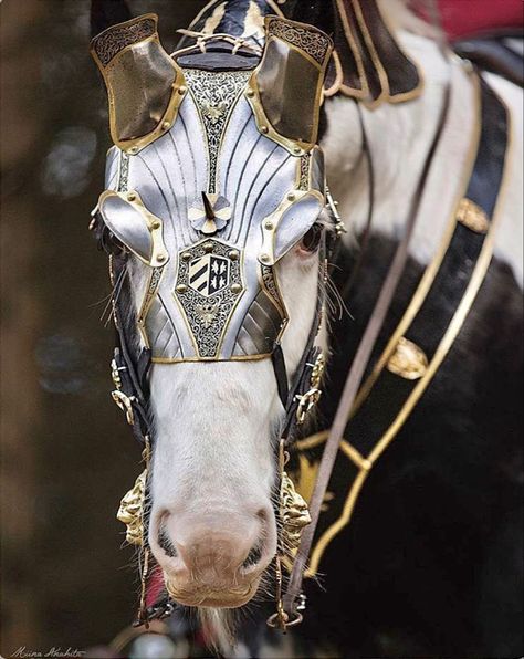 Black & white pinto “warhorse” Cai Arabi, Lup Singuratic, Royal Core, Skai Jackson, Horse Armor, Royalty Aesthetic, Royal Aesthetic, Horse Aesthetic, Bridles