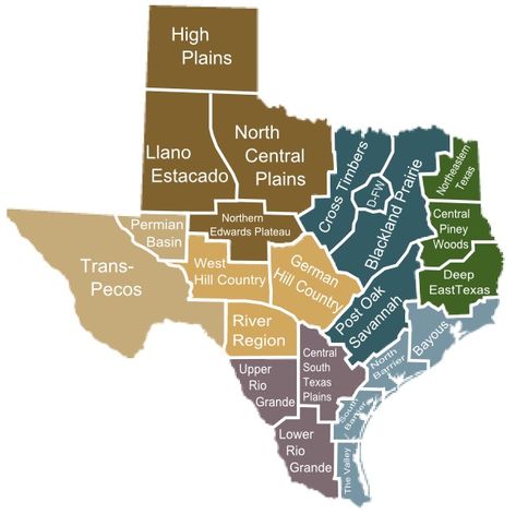 Map of Texas Plains Rio Grande Texas, Texas Geography, West Texas A&m, West Texas Wedding, Texas Quotes, Quanah Parker, Summer Moon, Texas Tattoos, Texas Sunset