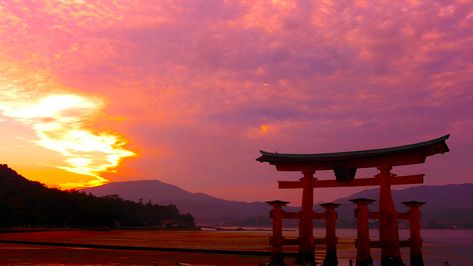 Japan sunsets in Miyajima are amazing check our post for an amazing 2 week Japan itinerary! Watercolor Art Landscape, Songkran Festival, Japan Itinerary, Food Activities, Sunset Wallpaper, China Art, Sunset Pictures, Art Landscape, Random Pics